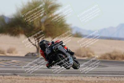 media/Nov-30-2025-TrackXperience (Sun) [[c0061d280f]]/2-Level 2/Session 6 Turn 4 Tree of Life/